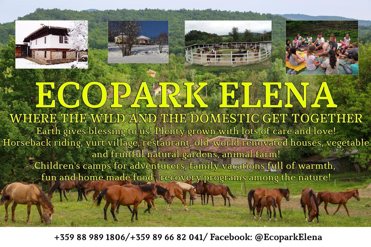 Ecopark Elena Hotel Buitenkant foto