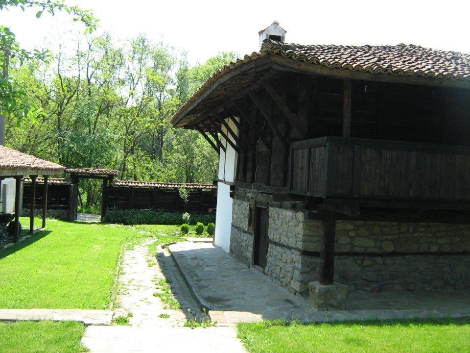 Ecopark Elena Hotel Buitenkant foto