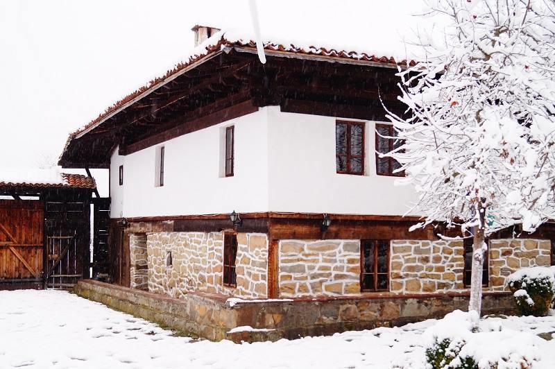 Ecopark Elena Hotel Buitenkant foto