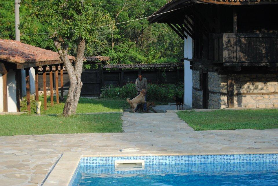 Ecopark Elena Hotel Buitenkant foto
