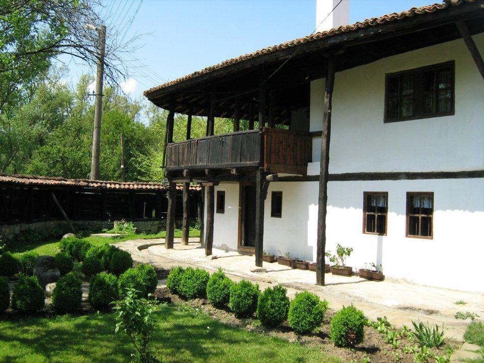 Ecopark Elena Hotel Buitenkant foto