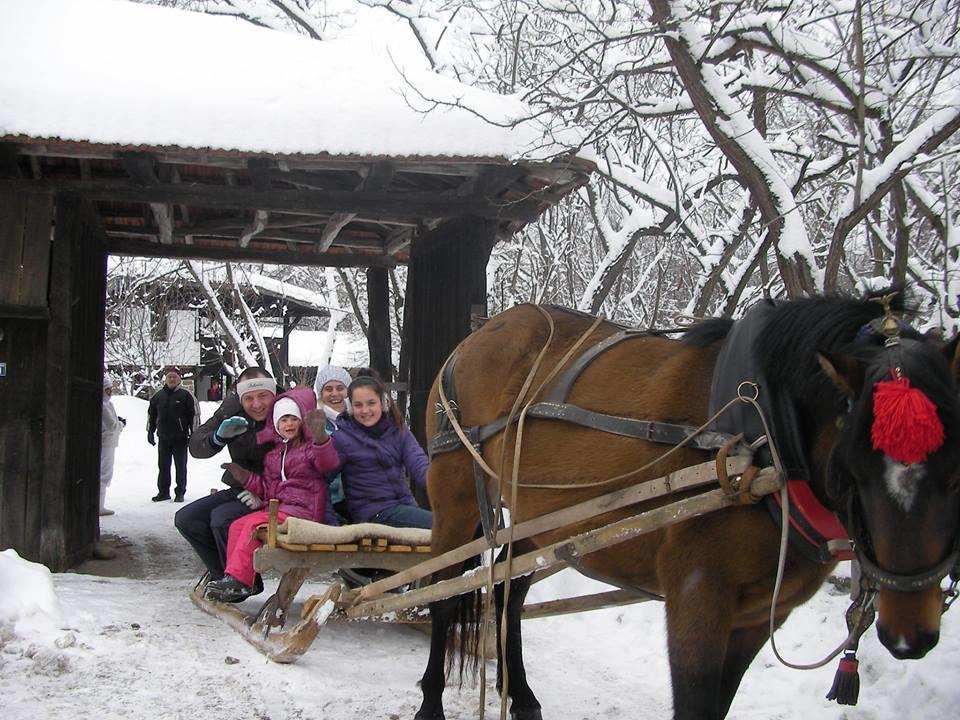 Ecopark Elena Hotel Buitenkant foto