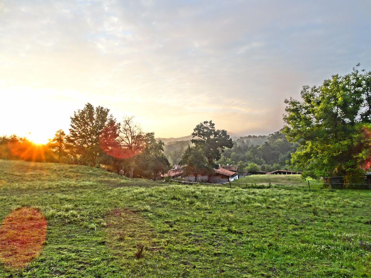 Ecopark Elena Hotel Buitenkant foto