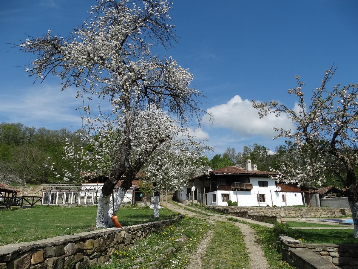 Ecopark Elena Hotel Buitenkant foto