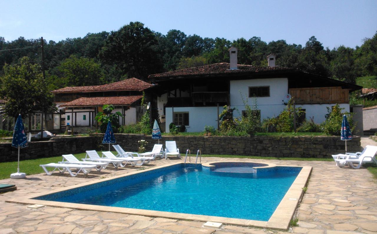 Ecopark Elena Hotel Buitenkant foto