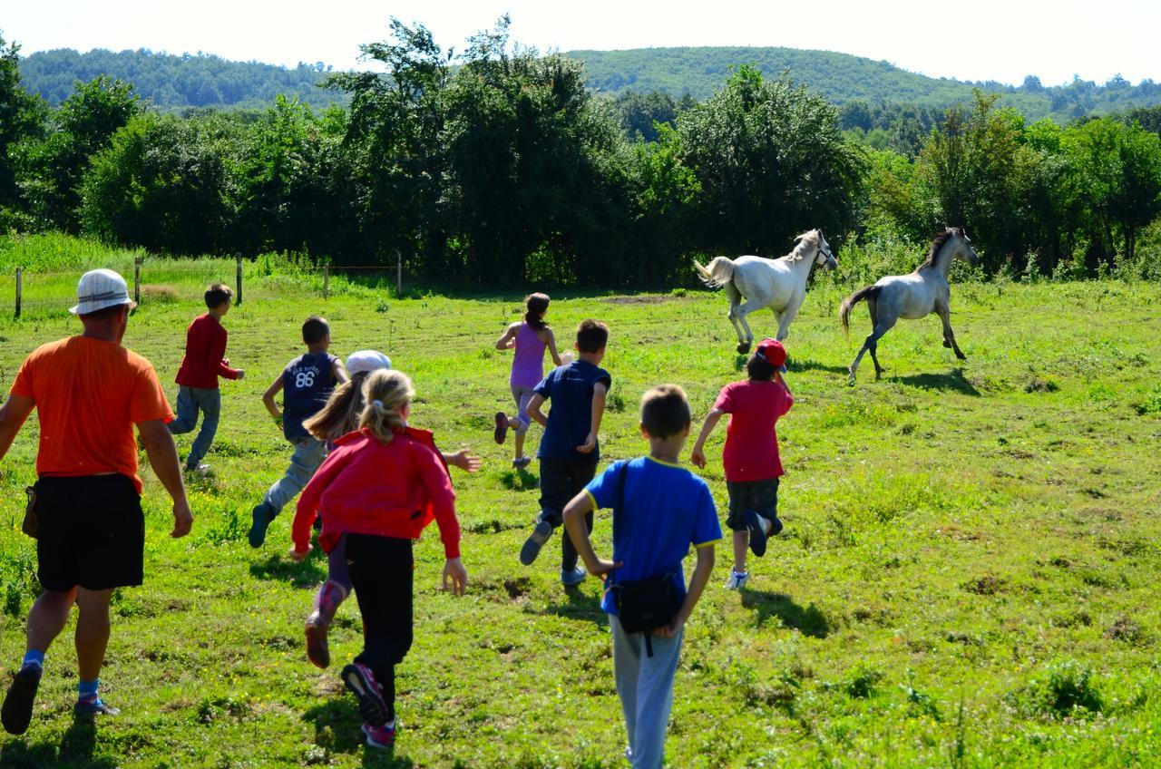 Ecopark Elena Hotel Buitenkant foto