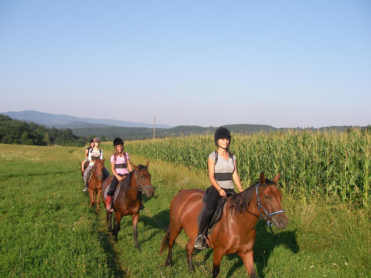 Ecopark Elena Hotel Buitenkant foto