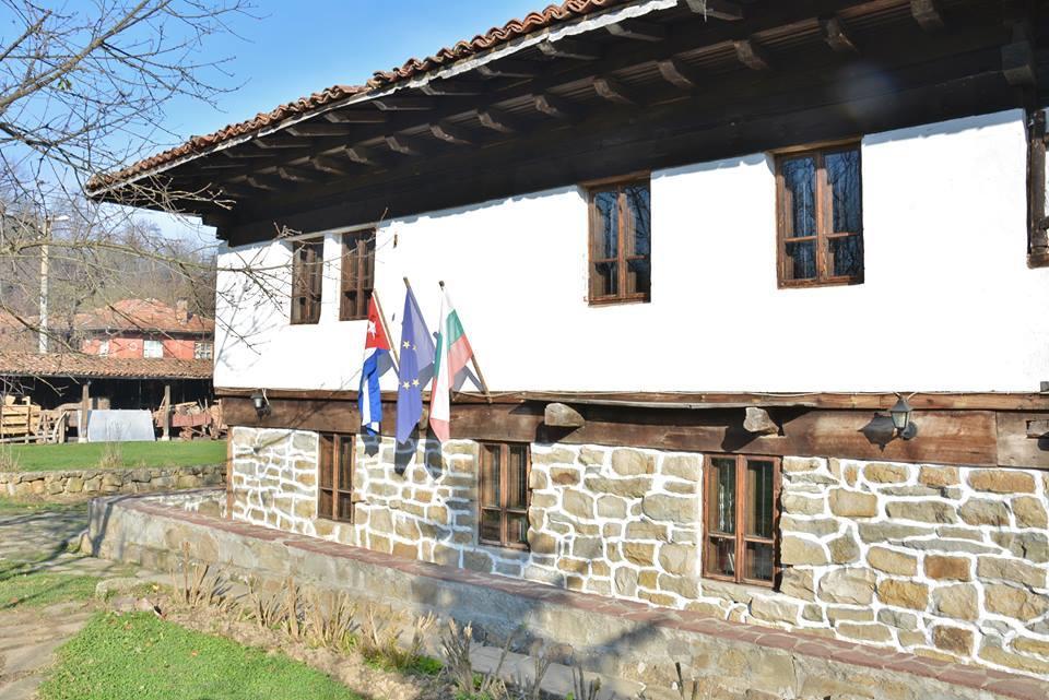 Ecopark Elena Hotel Buitenkant foto